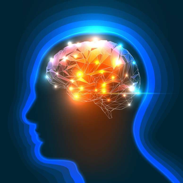 Human Brain