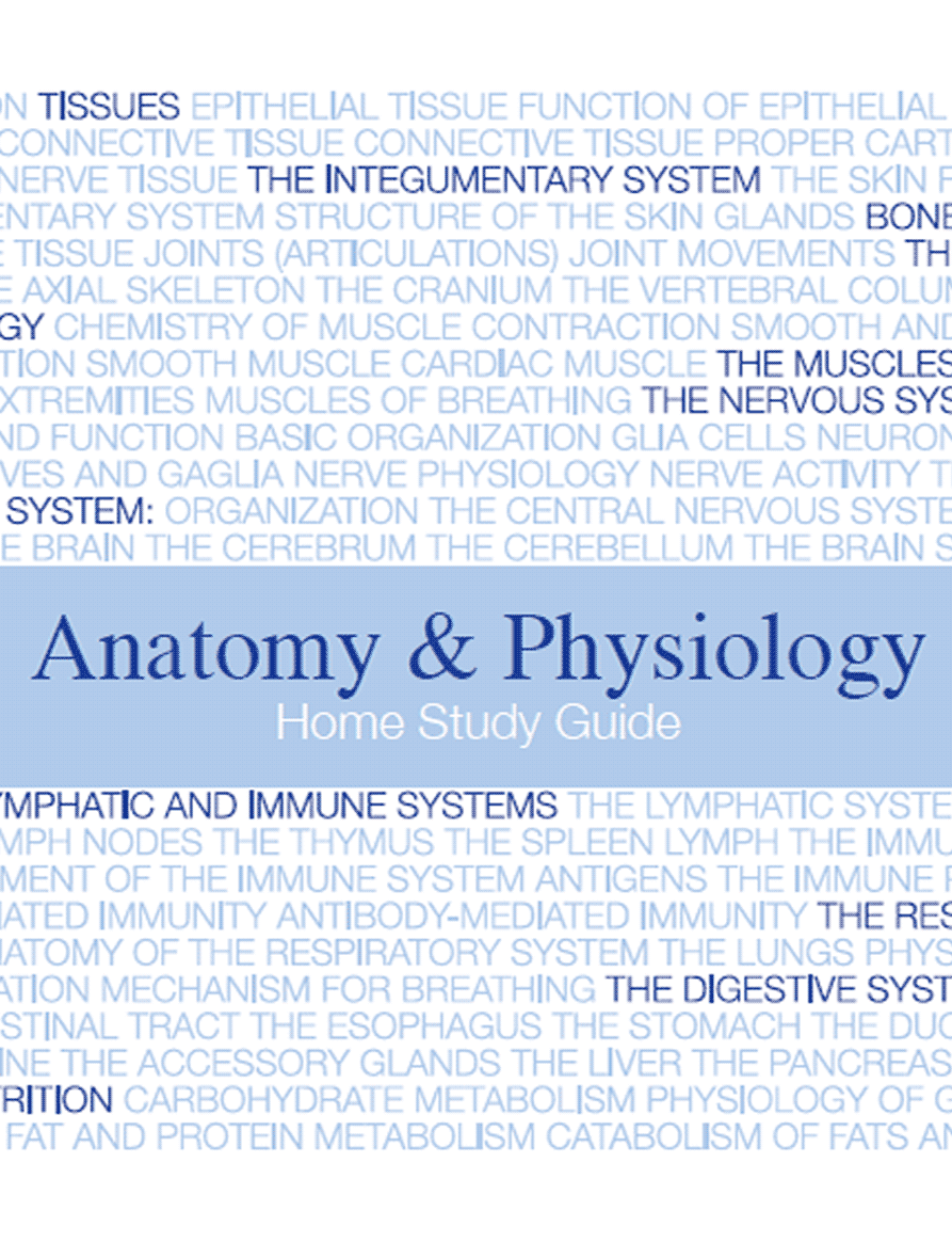 CBS Course 4 Anatomy Course White Dove Global